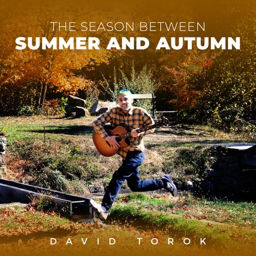 Gallery photo 1 of David Torok