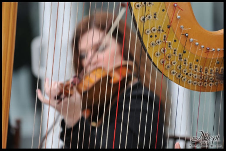 Gallery photo 8 of David Turner Music - Music for Your Florida Party