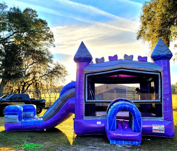 Gallery photo 6 of Davis Inflatables LLC