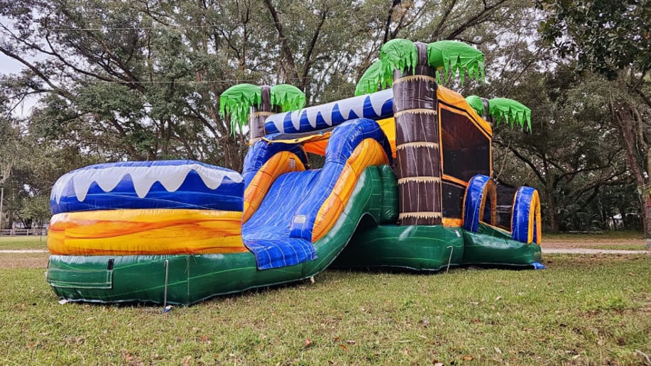 Gallery photo 7 of Davis Inflatables LLC