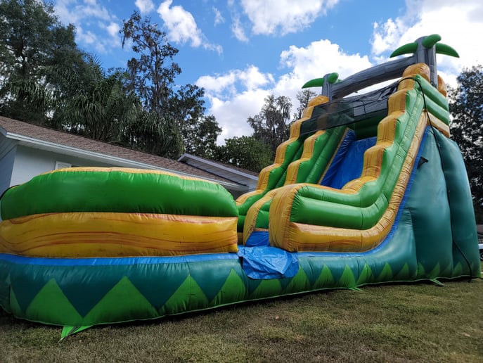 Gallery photo 9 of Davis Inflatables LLC