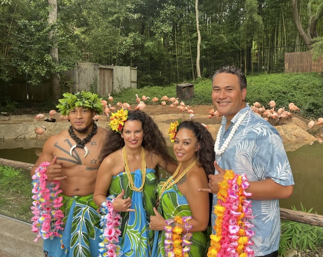 Gallery photo 10 of Dawn Mahealani Douglas and Mahealani's Polynesian Entertainment