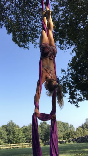 Gallery photo 2 of Day Brighteners Acrobat Aerialist