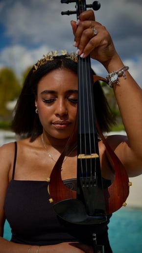 Gallery photo 1 of Dayi Violin