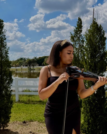 Gallery photo 2 of Dayi Violin