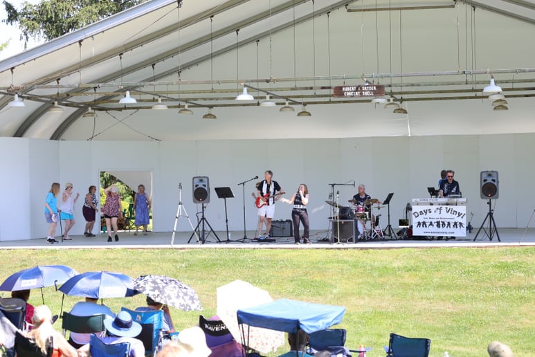 Gallery photo 9 of Days of Vinyl - Live Music and Entertainment