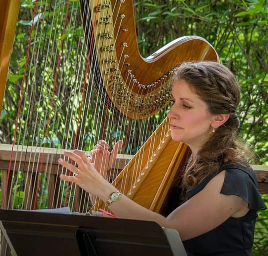 Gallery photo 2 of Dayton Harpist
