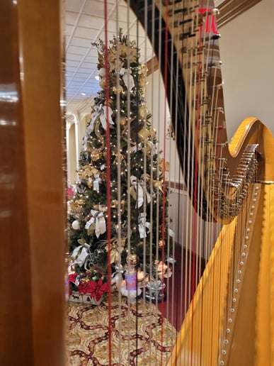 Gallery photo 6 of Dayton Harpist