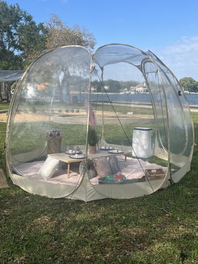 Gallery photo 1 of D’Bubble Effect