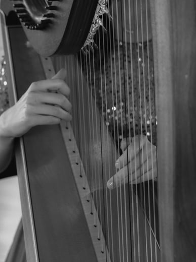 Gallery photo 7 of Deb the Harpist