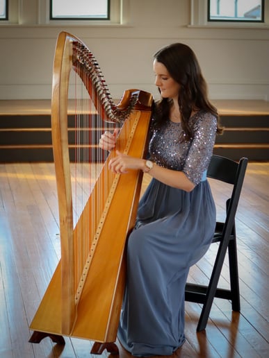 Gallery photo 8 of Deb the Harpist