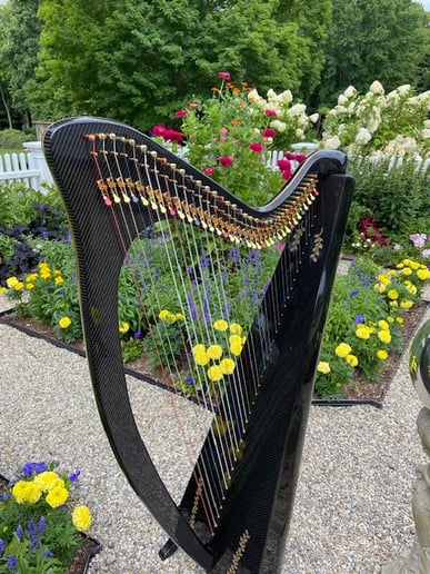 Gallery photo 6 of Debbie Vinick