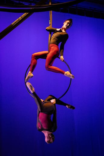 Gallery photo 3 of Denver Aerial Dance Collective