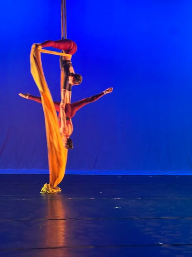 Gallery photo 4 of Denver Aerial Dance Collective