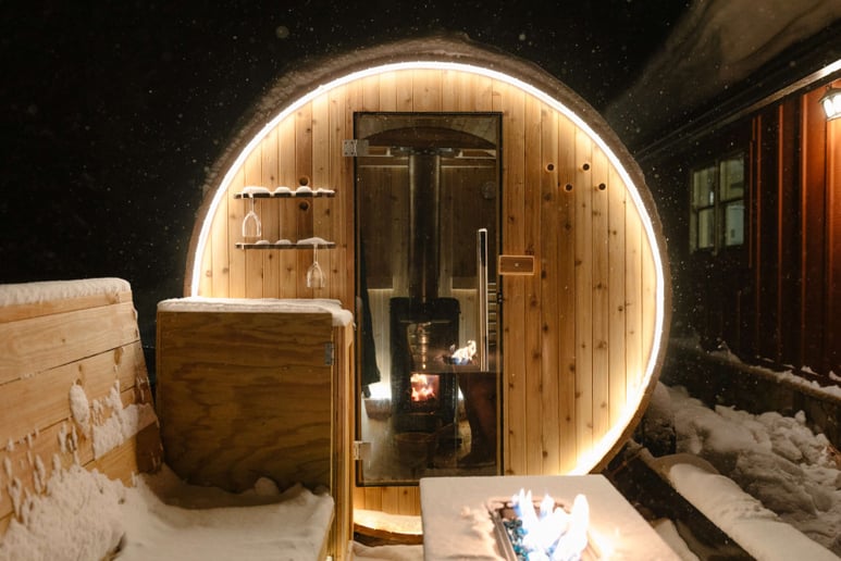 Gallery photo 3 of Denver Mobile Sauna
