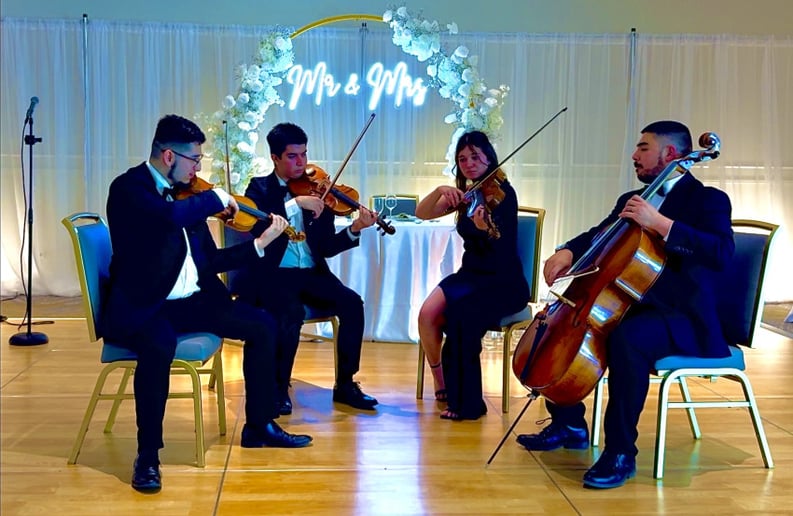 Gallery photo 1 of Sunset Chamber Strings