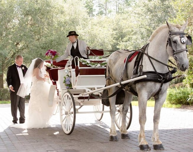 Gallery photo 2 of Destiny Horse and Carriage