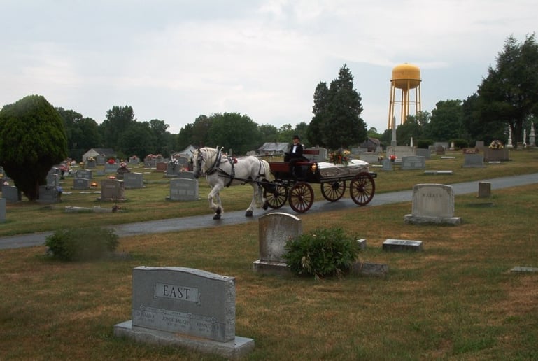 Gallery photo 3 of Destiny Horse and Carriage