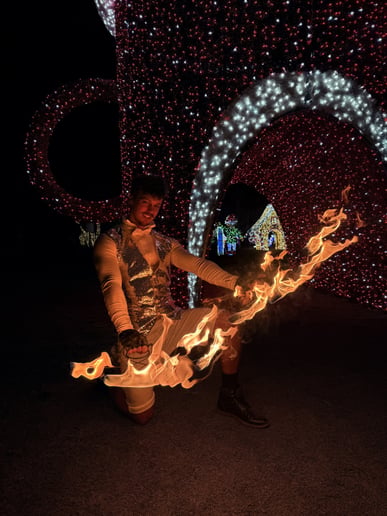 Gallery photo 6 of Alien Flow Performance Art