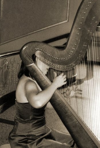Gallery photo 10 of The Classic Harpist