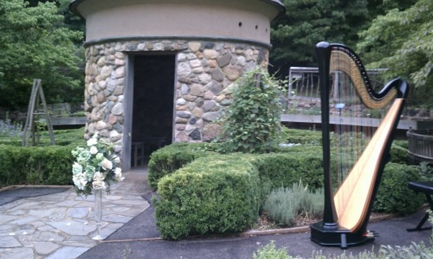 Gallery photo 1 of The Classic Harpist