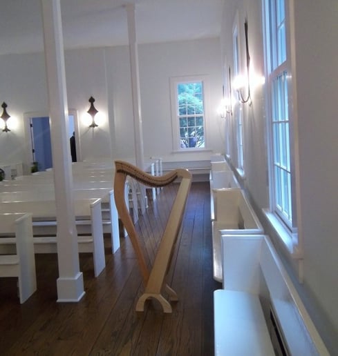 Gallery photo 6 of The Classic Harpist