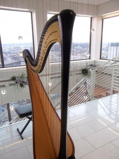 Gallery photo 7 of The Classic Harpist