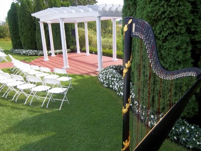 Gallery photo 5 of The Classic Harpist