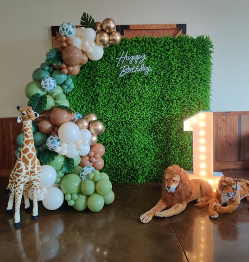 Gallery photo 26 of Dfwpartyco