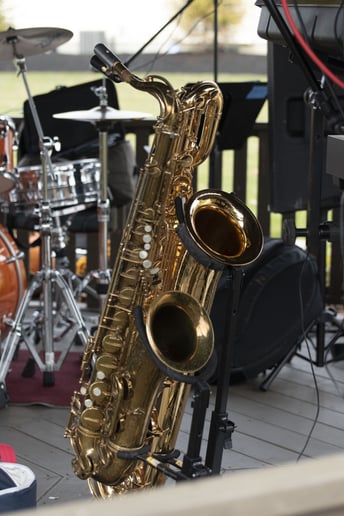Gallery photo 7 of Diamond Cut Horns