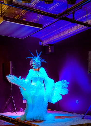 Gallery photo 1 of Diamond D'Light Burlesque