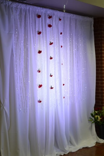 Gallery photo 8 of Diamond & Pearl Events