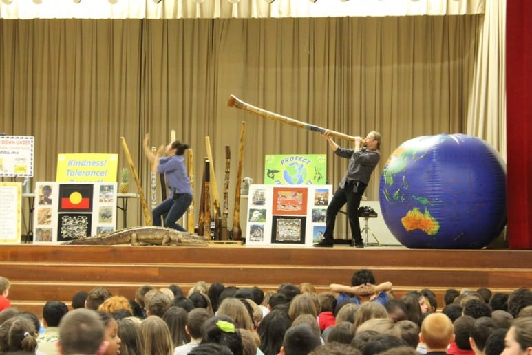 Gallery photo 6 of Didg Revolution