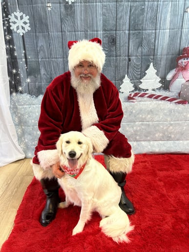 Gallery photo 5 of The Santa Claus Experience