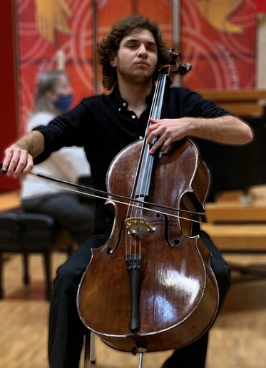 Gallery photo 5 of Diringer Cello