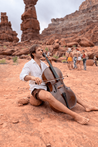 Gallery photo 4 of Diringer Cello