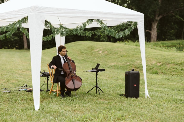 Gallery photo 3 of Diringer Cello