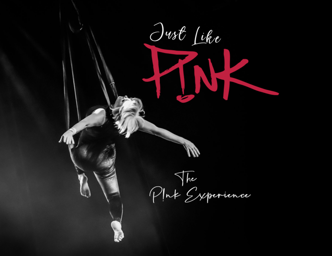 Gallery photo 6 of Just Like P!nk