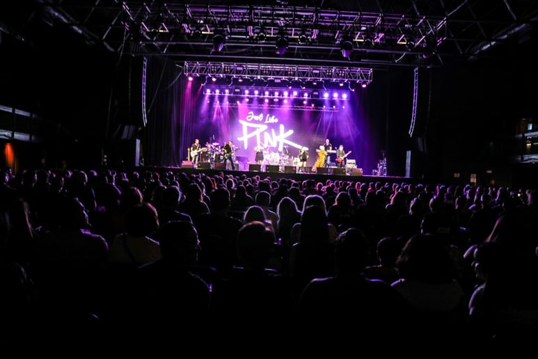 Gallery photo 3 of Just Like P!nk