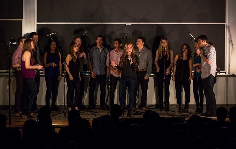 Gallery photo 9 of Dischord A Cappella