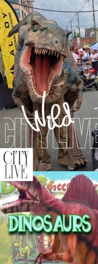 Gallery photo 6 of CityLive; Let's Make Memories