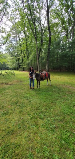 Gallery photo 7 of Party Girl Pony Rides