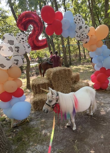 Gallery photo 5 of Party Girl Pony Rides