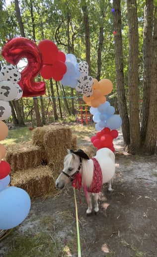 Gallery photo 6 of Party Girl Pony Rides