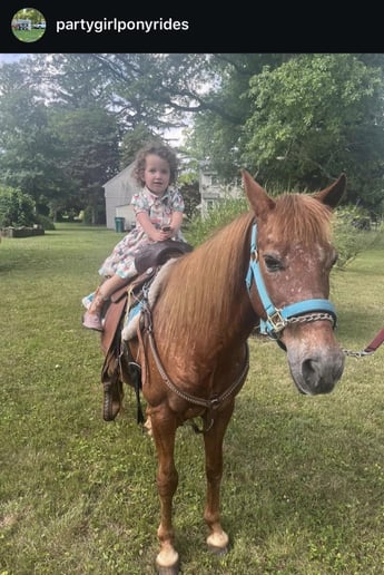 Gallery photo 13 of Party Girl Pony Rides