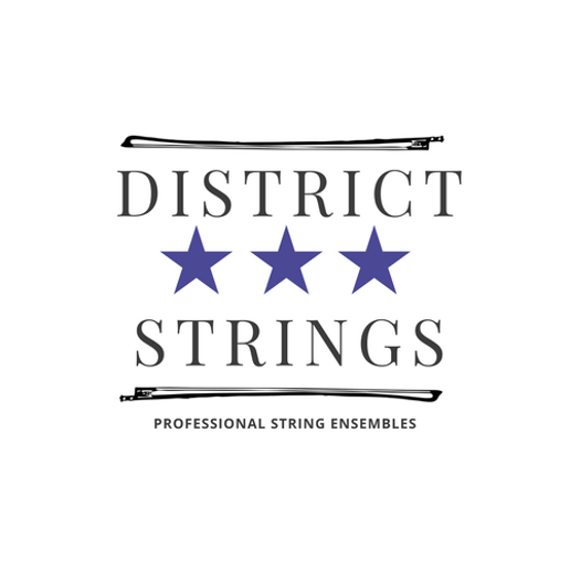 Gallery photo 3 of District Strings