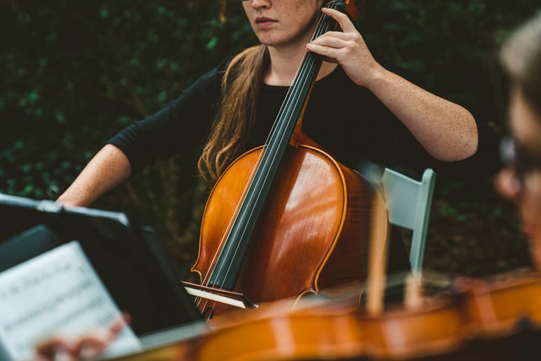 Gallery photo 7 of District Strings