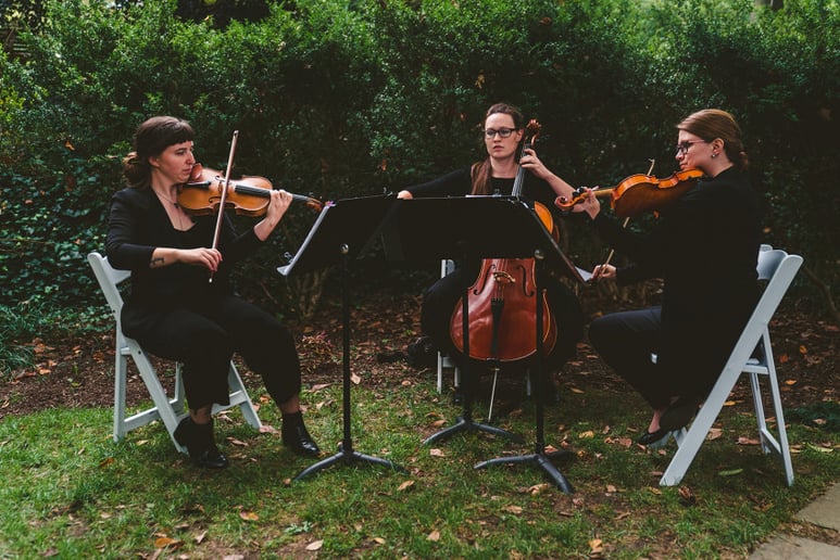 Gallery photo 8 of District Strings