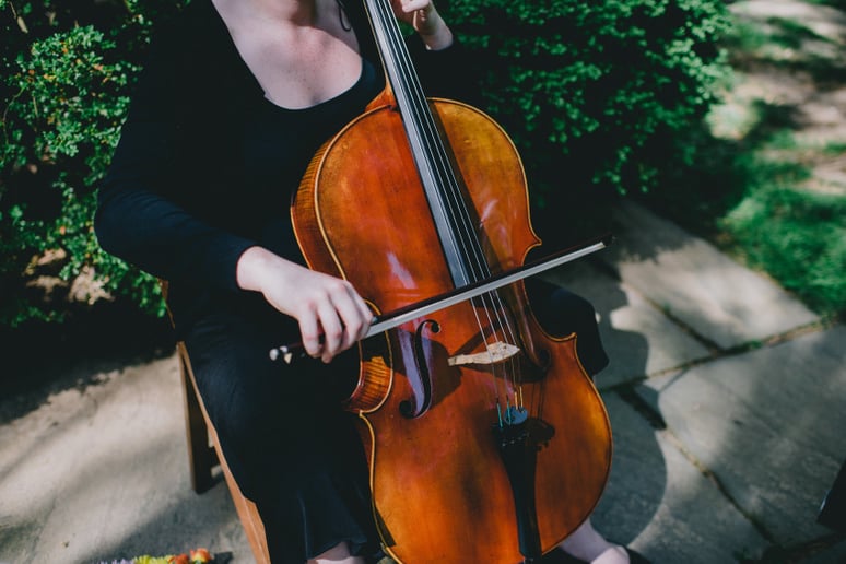 Gallery photo 9 of District Strings