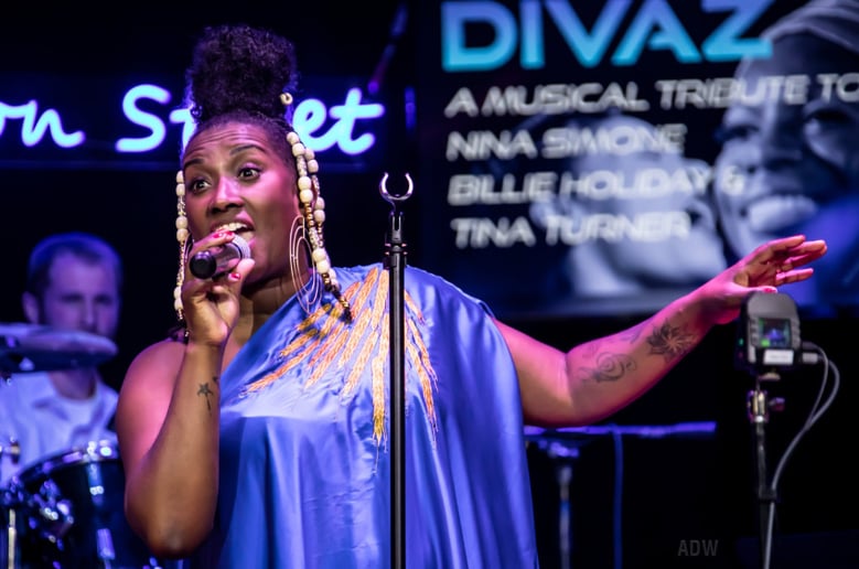 Gallery photo 3 of DivaZ: Nina, Billie, Tina Tribute Show
